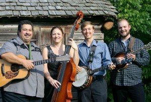 florida-state-bluegrass