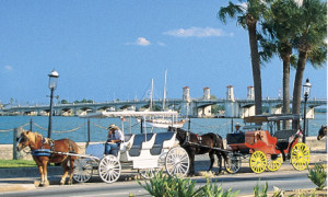 staugustine horse and carriage