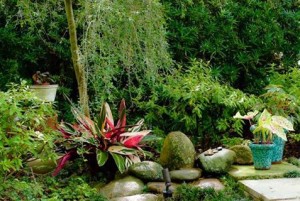 LifeArt Studio Garden