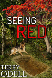 Seeing-Red-300x4501
