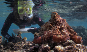 sy-montgomery-rollins-college