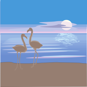 flamingos on beach