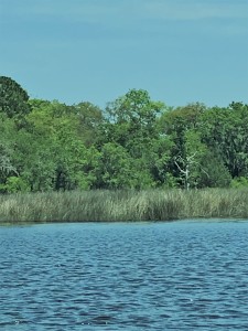 River of Grass poster photo